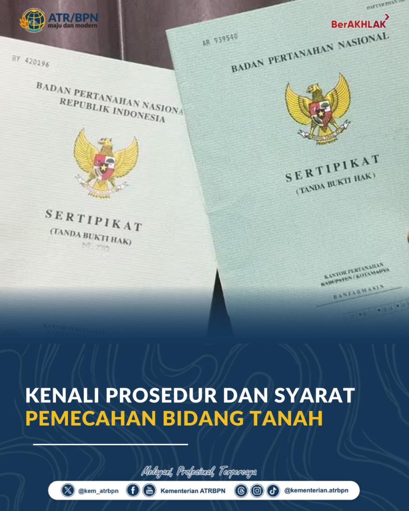 WhatsApp Image 2026 06 07 at 11.01.07